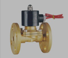 2W-黄铜法兰电磁阀-2